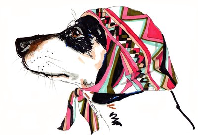 Cagnolino in Pucci, 2012 da Jo Chambers
